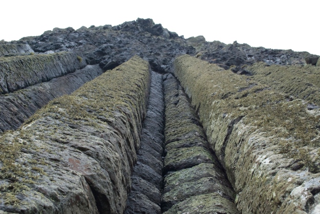 Columns of basalt 