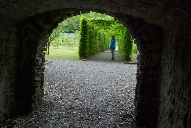 Ashford castle garden- 