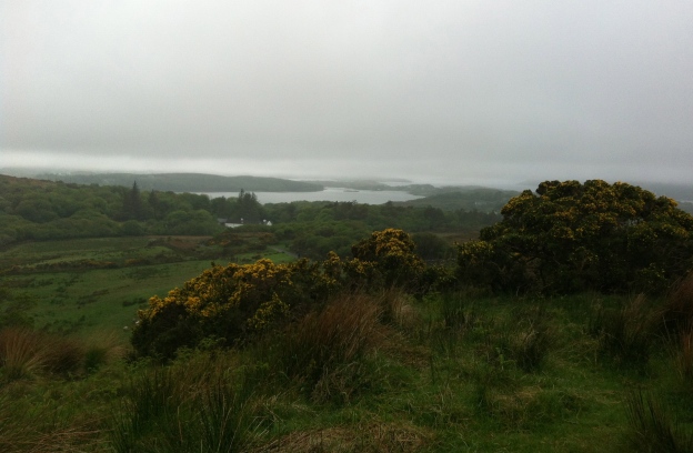 Foggy boggy Connemara